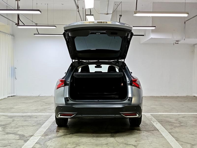 Citroen Versailles C5 X 2021