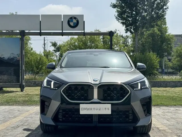 BMW BMW X2 (imported) sDrive25i M sports suit