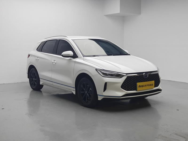 BYD BYD e2 2021