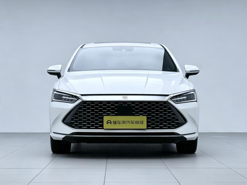 BYD Qin PLUS DM 2021