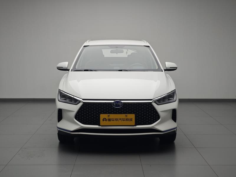 BYD BYD e2 2021