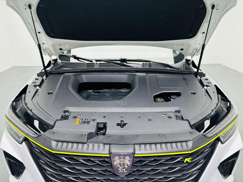 Roewe Roewe RX5 2021
