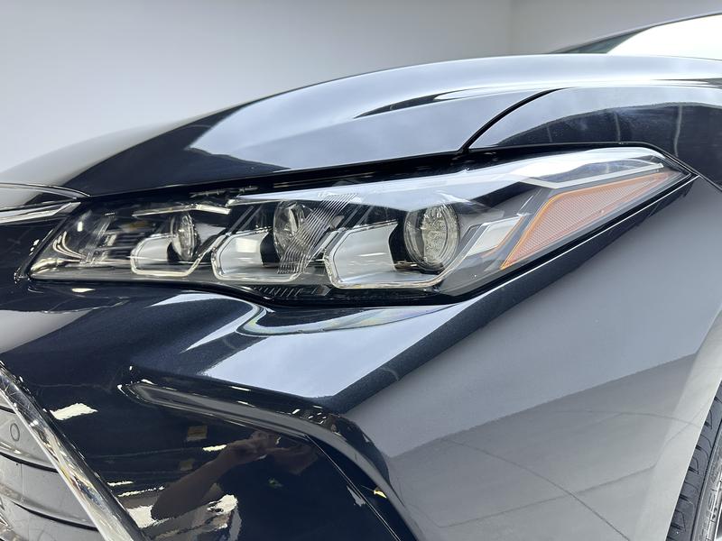 Toyota Asian Dragon 2019