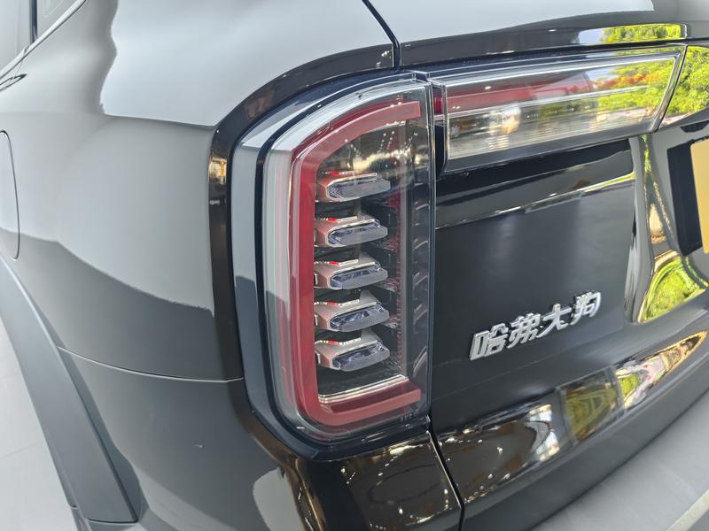 Haval 长城大狗 2021