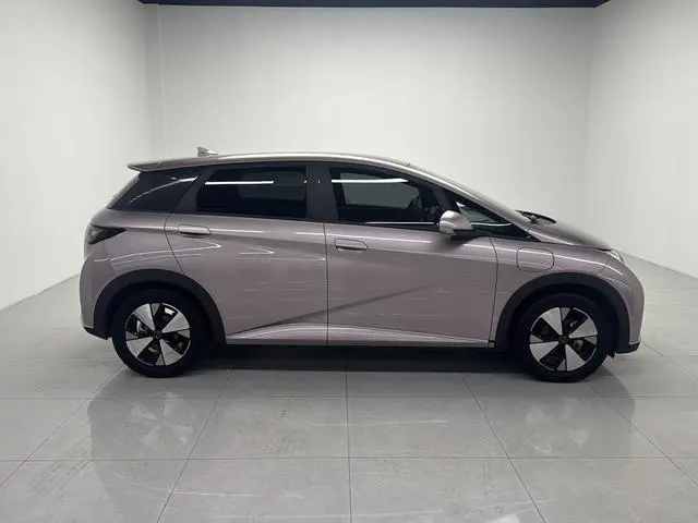 BYD dolphin Fashion edition