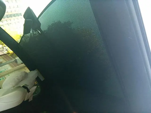 Tesla Model X 100D long battery life version