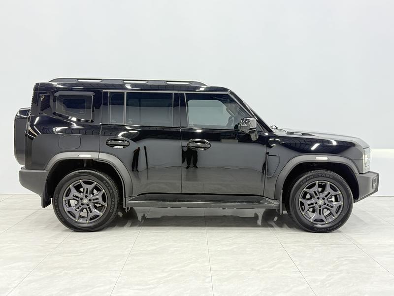 Jetour Shanhai Jetour Traveler C-DM 2024