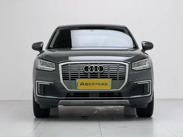 Audi Audi Q2L e-tron Pure electric smart enjoyment type