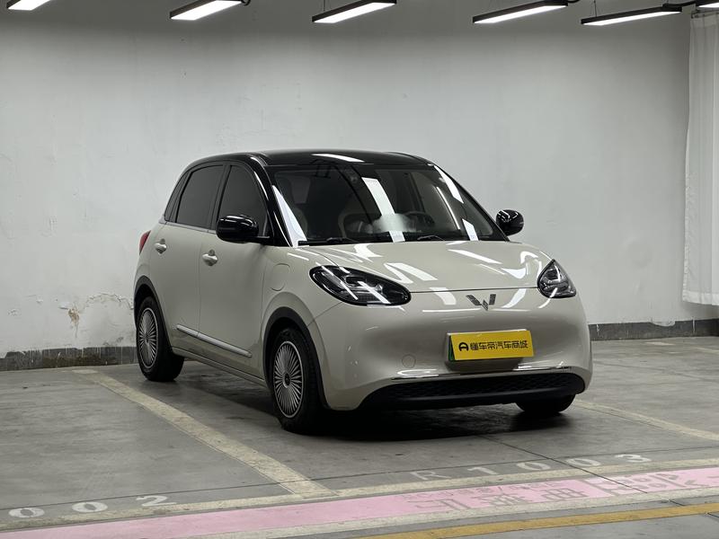 Wuling Wuling Binguo 2023