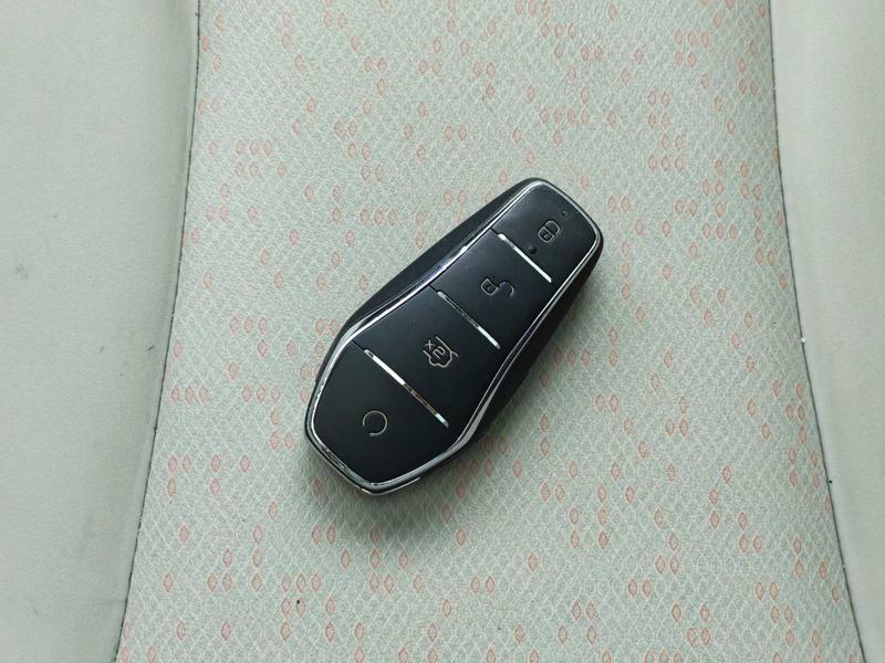 BYD dolphin 2021