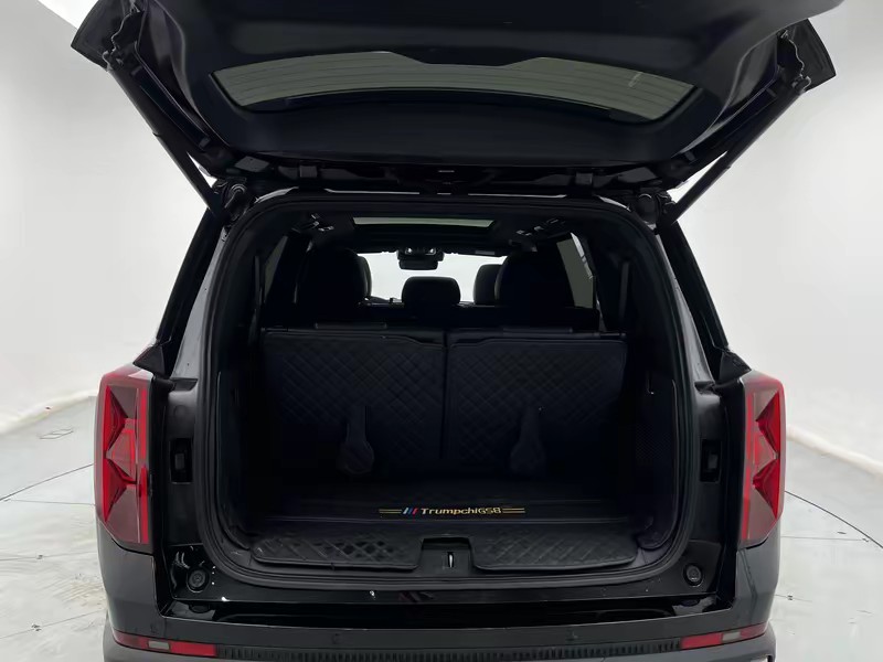Trumpchi Trumpchi GS8 2024
