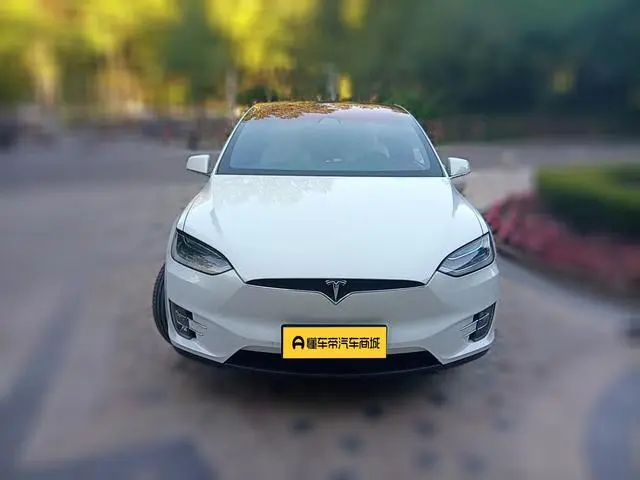 Tesla Model X 100D long battery life version