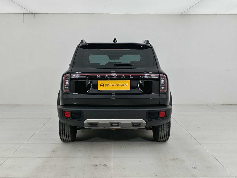 Haval Haval Big Dog 2024