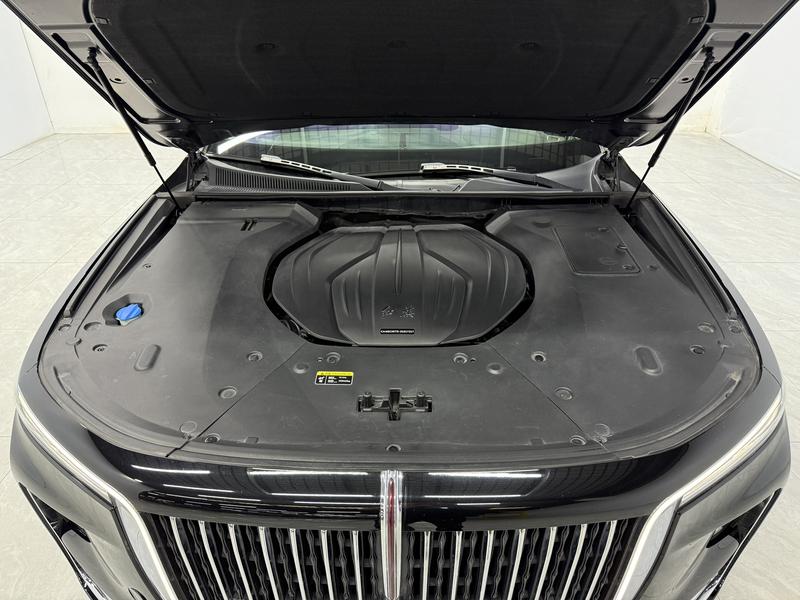 Hongqi Red Flag H9 2020