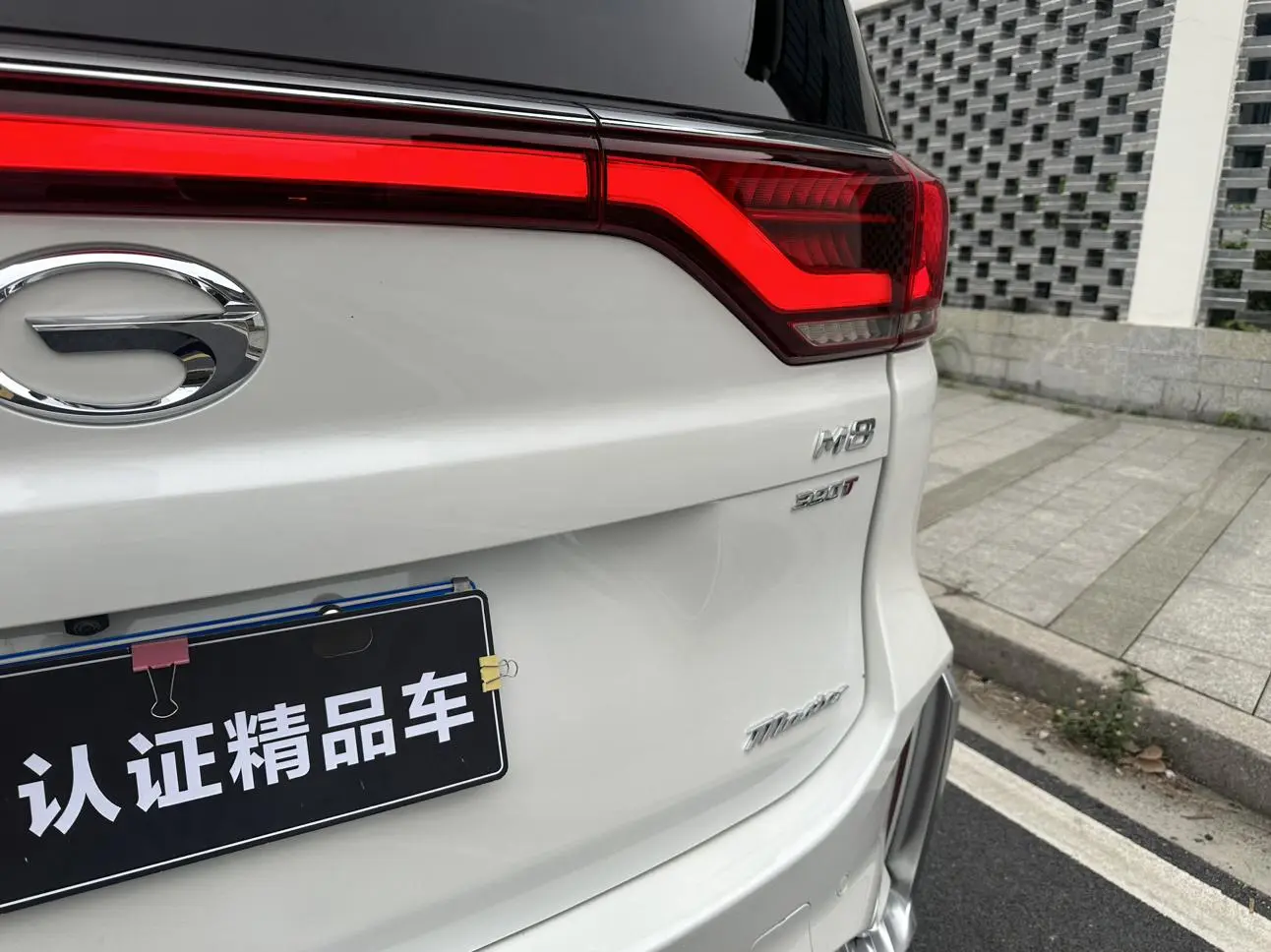 GAC Trumpchi M8 Master Series 390T Extreme Edition