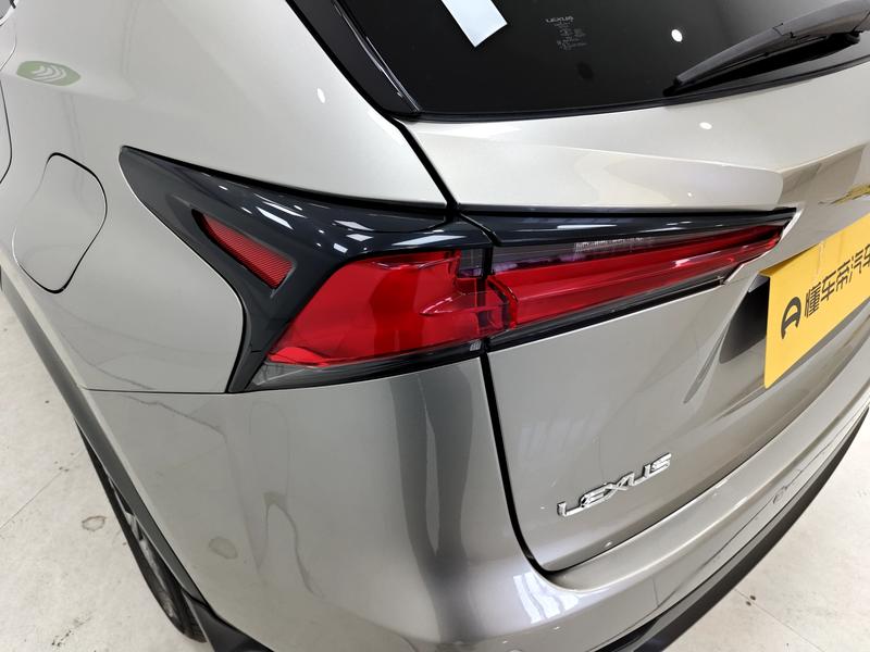 Lexus Lexus NX 2020