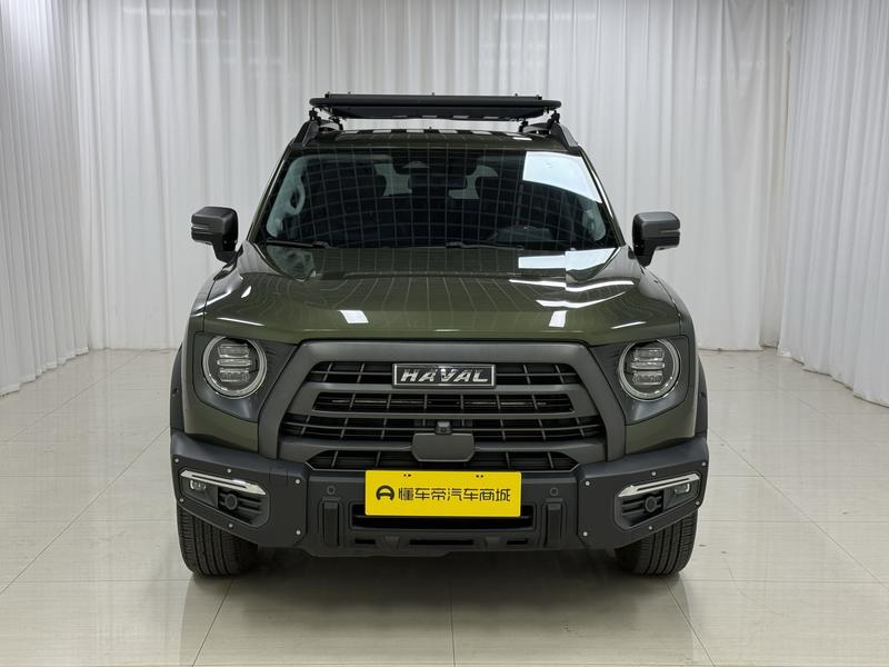 Haval 长城大狗 2022