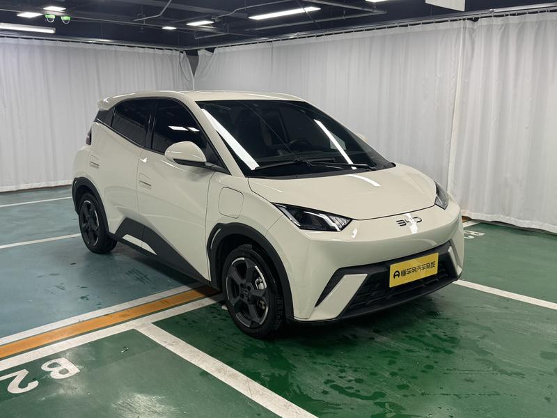 BYD seagull 2024