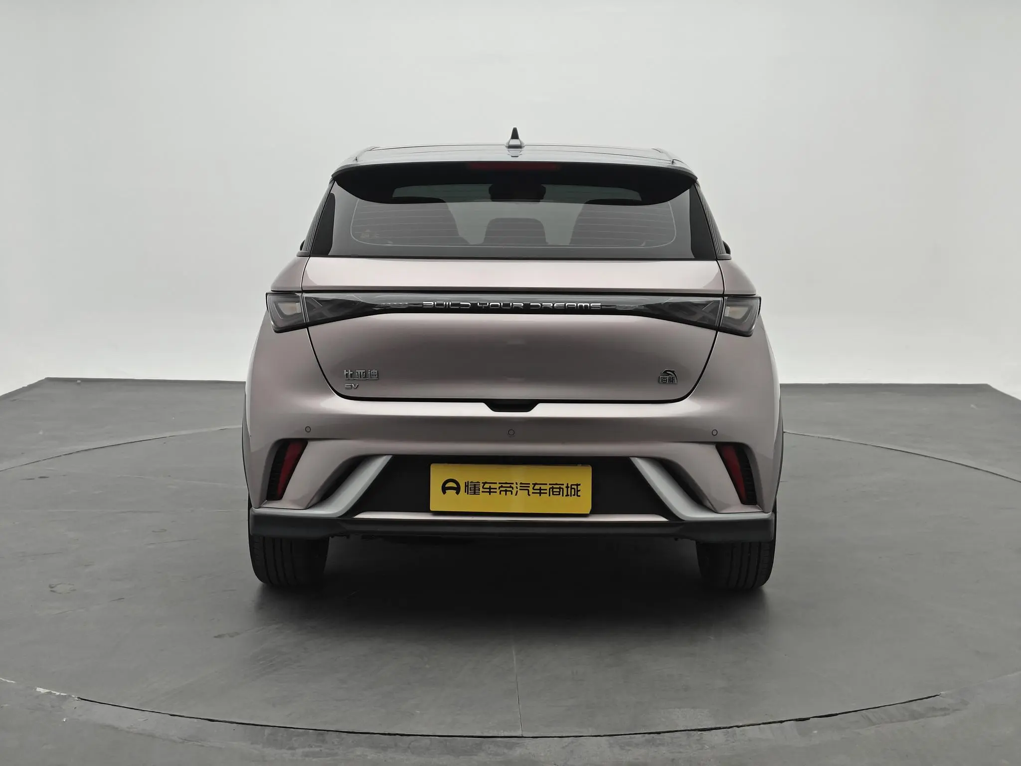 BYD dolphin Knight Edition