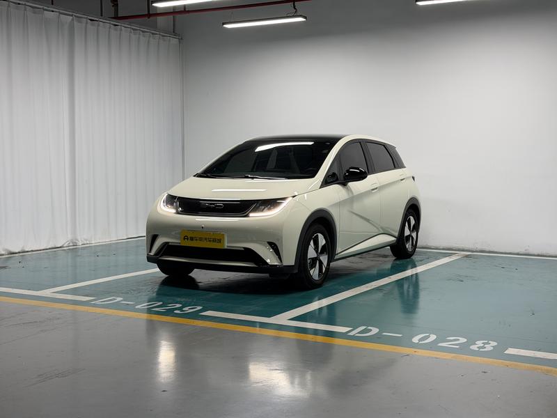 BYD dolphin 2023