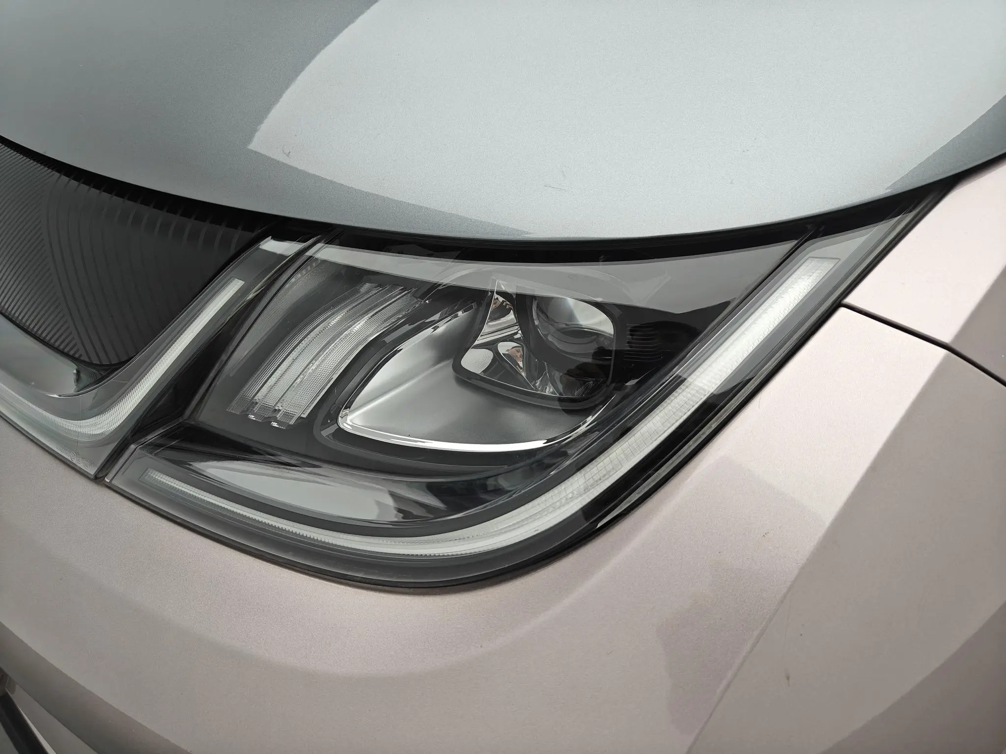 BYD dolphin Knight Edition