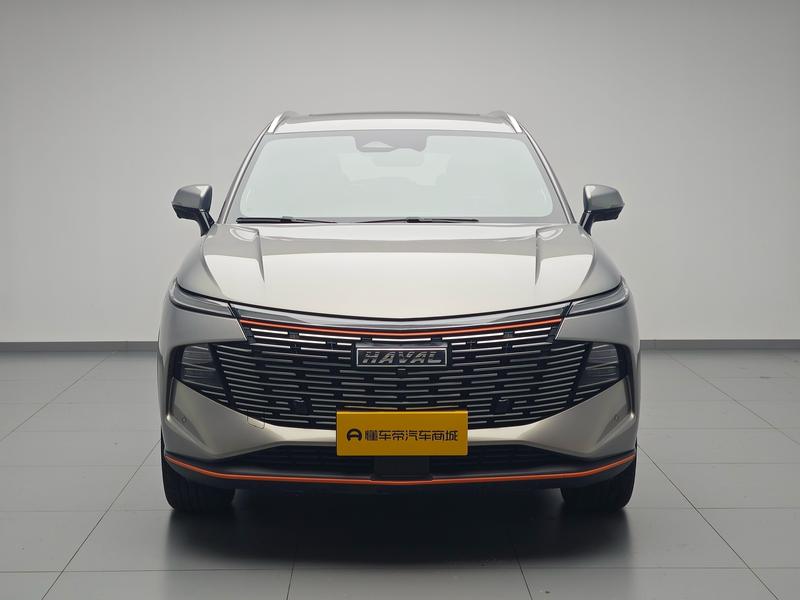 Haval Haval Divine Beast 2021