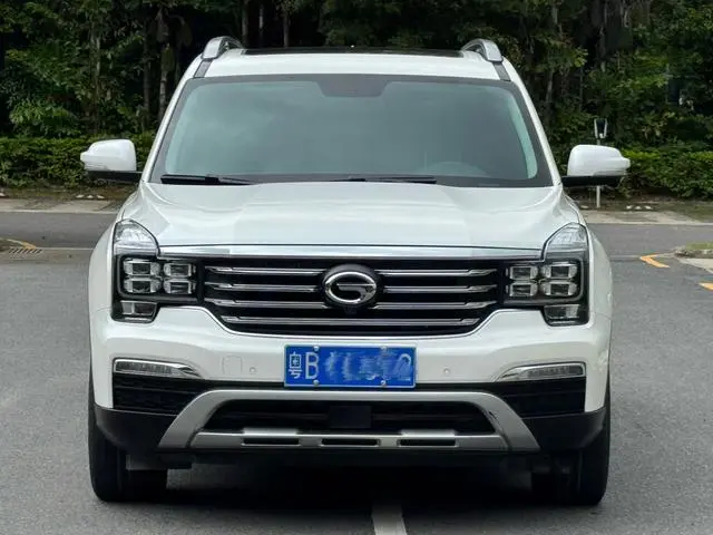 GAC Trumpchi GS8 320T two-wheel drive luxury Zhilian Edition 7 seats
