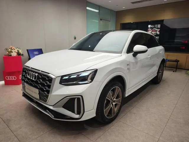 Audi Audi Q2L 35 TFSI fashion dynamic type