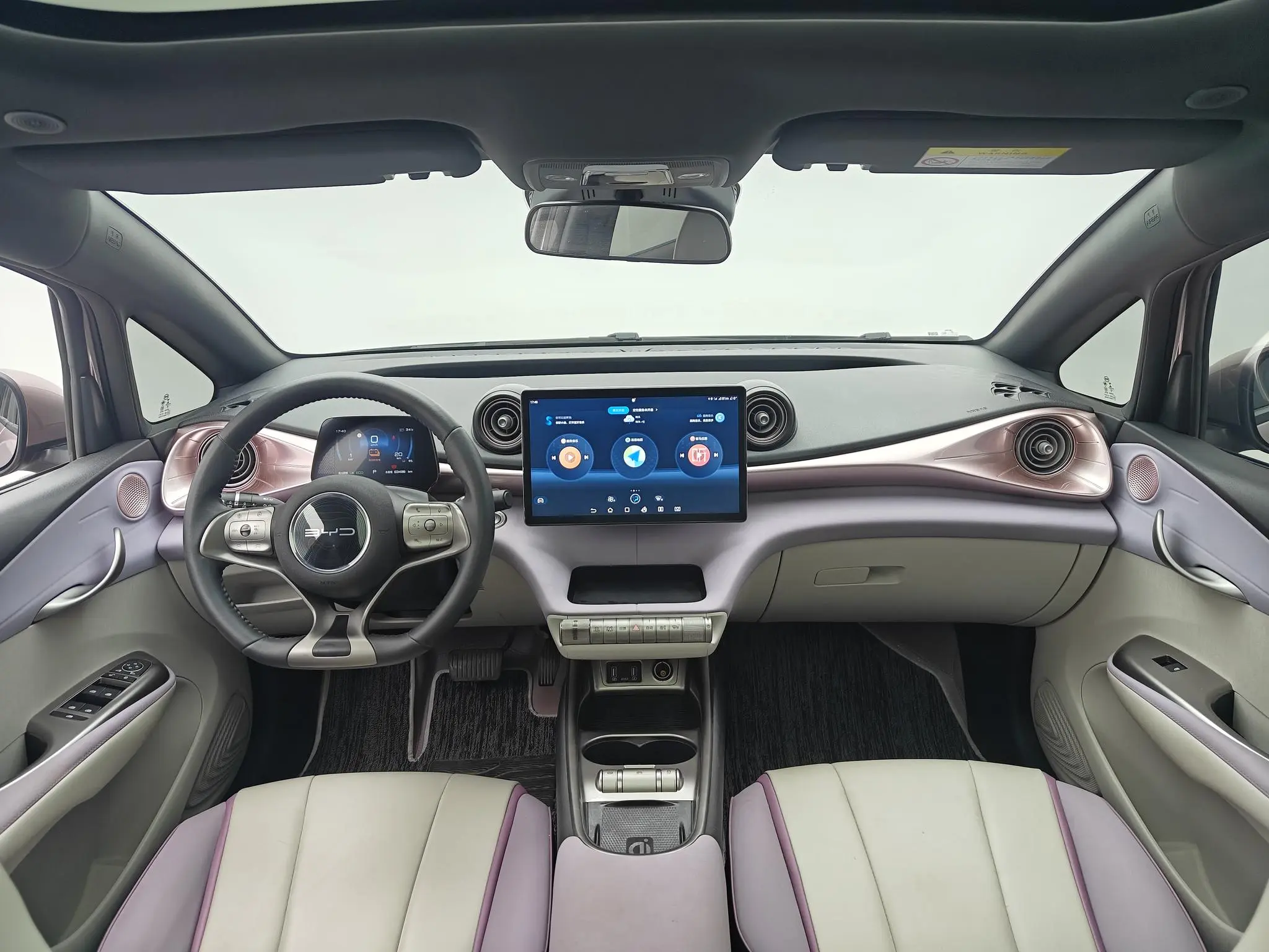 BYD dolphin Knight Edition