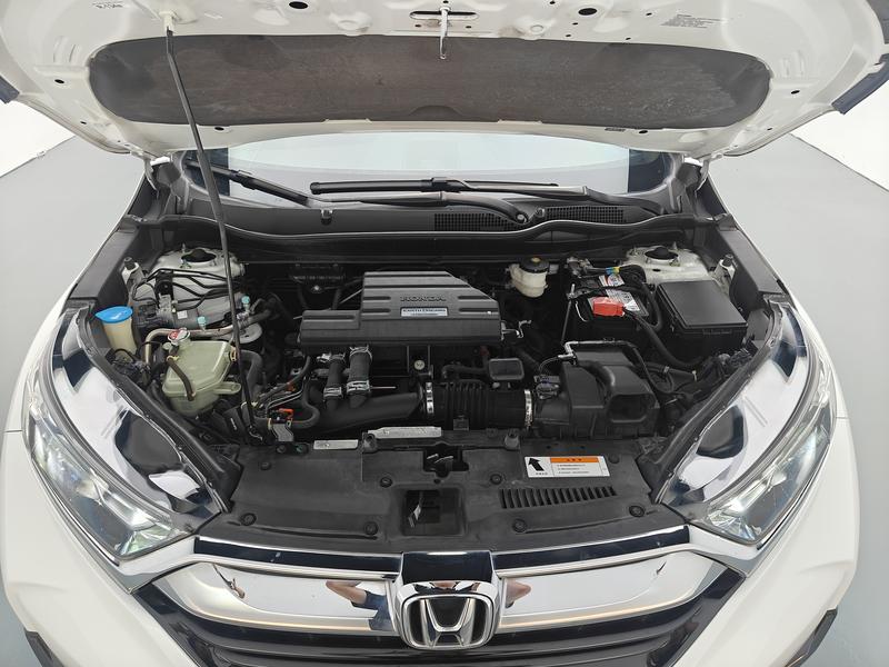 Honda Honda CR-V 2019