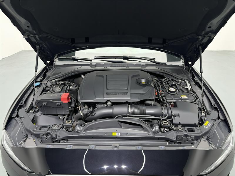 Jaguar Jaguar XEL 2021