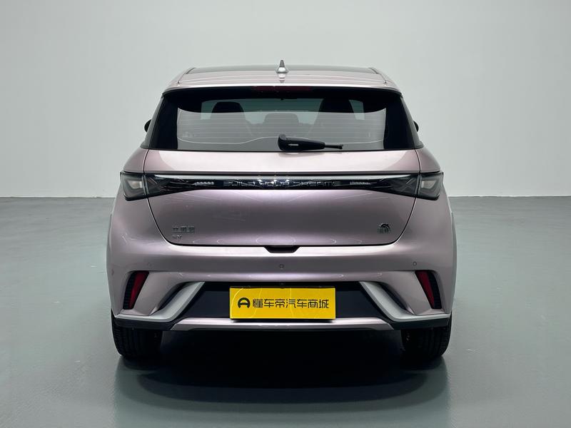 BYD dolphin 2023