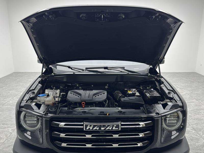 Haval Haval Big Dog 2021
