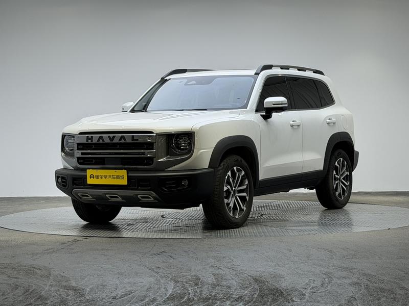 Haval 长城大狗 2024