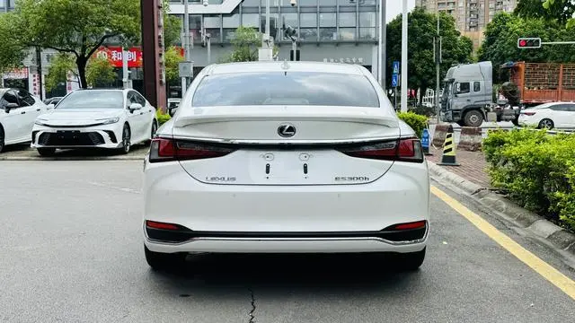 Lexus Lexus ES 300h Excellent Edition