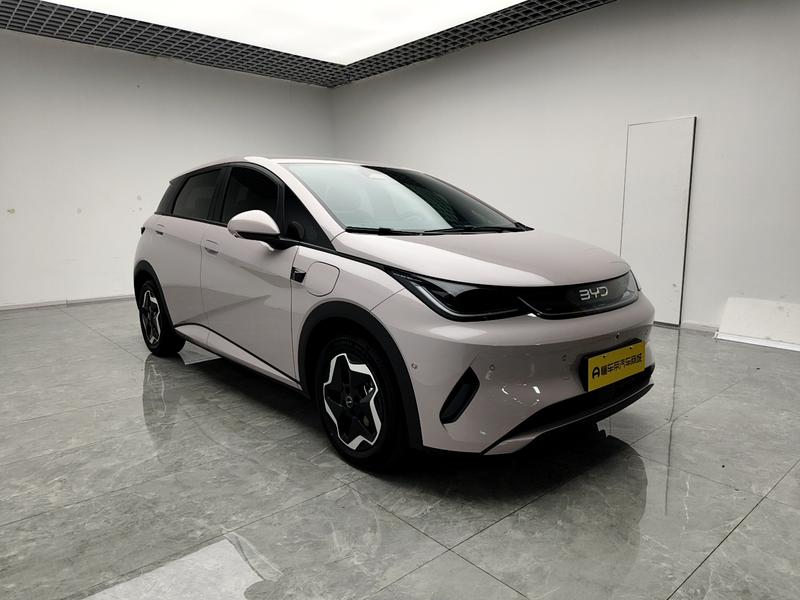 BYD dolphin 2025