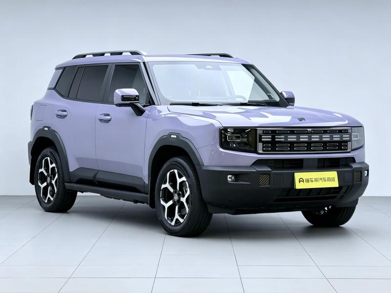 Jetour Shanhai Jietu Shanhai T1 2024