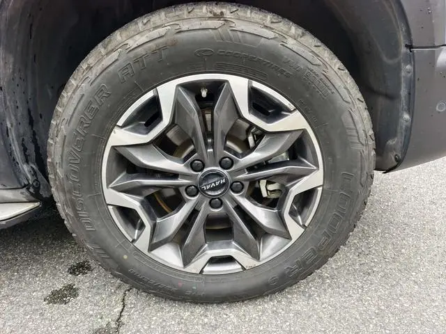 Haval Haval Big Dog 2.0T four-wheel drive wheezing dog hunting version