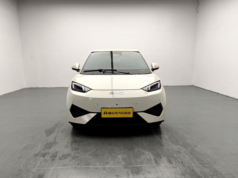 BYD seagull 2025