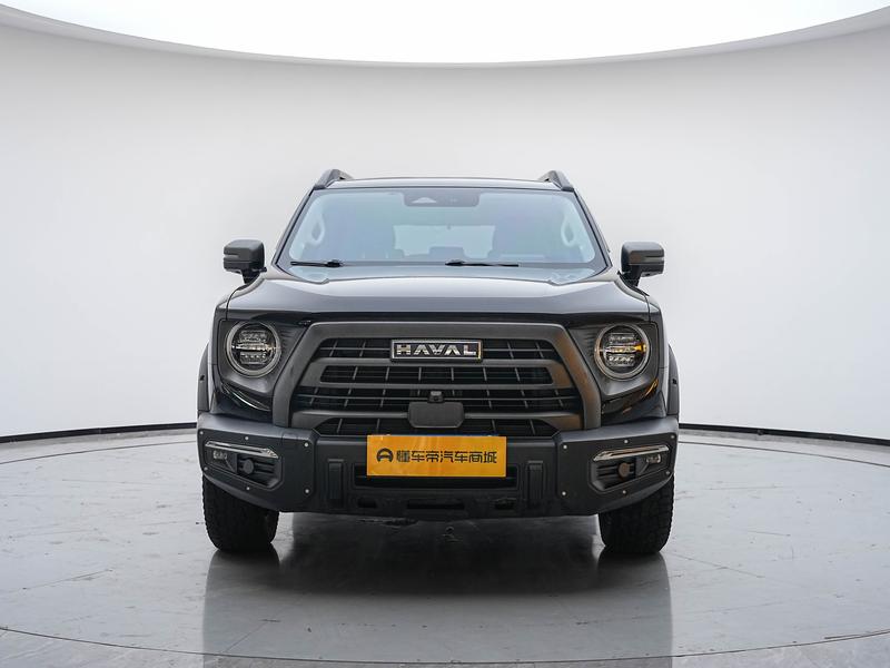 Haval Haval Big Dog 2024