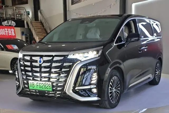Denza Denza D9 DM 980 four-wheel drive honor type