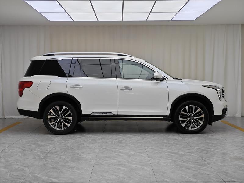 Trumpchi Trumpchi GS8 2019
