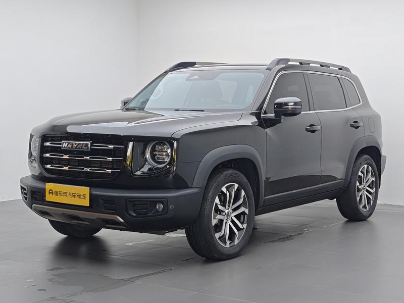 Haval 长城大狗 2021