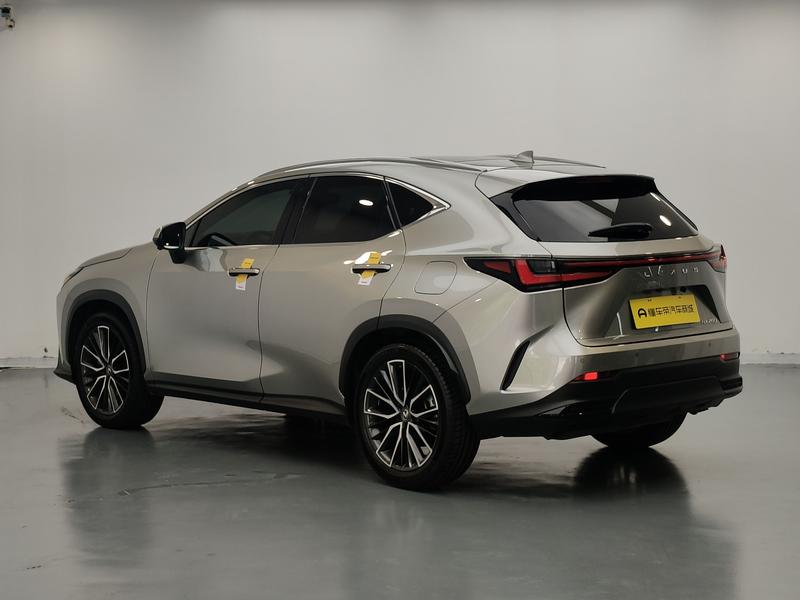Lexus Lexus NX 2022