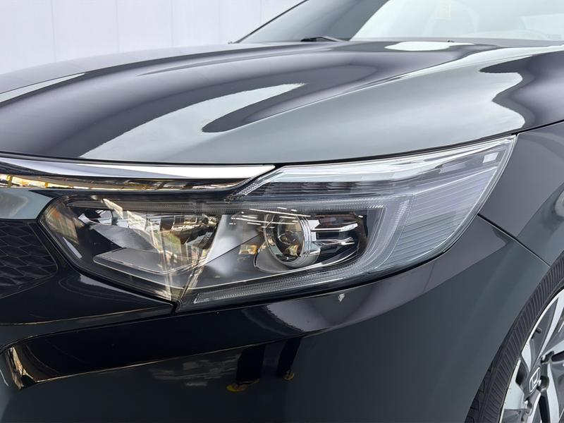 Honda Lingpai 2019