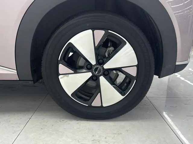 BYD dolphin Fashion edition