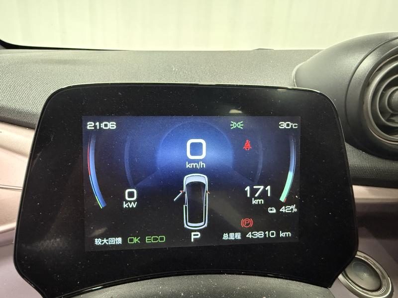 BYD dolphin 2021