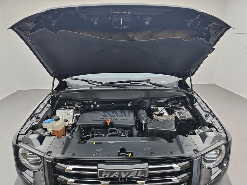 Haval 长城大狗 2021