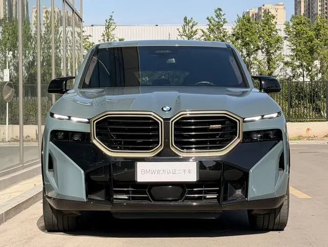 BMW BMW XM 4.4T standard type