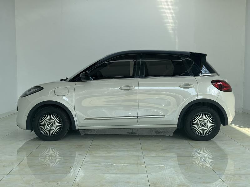 Wuling Wuling Binguo 2023